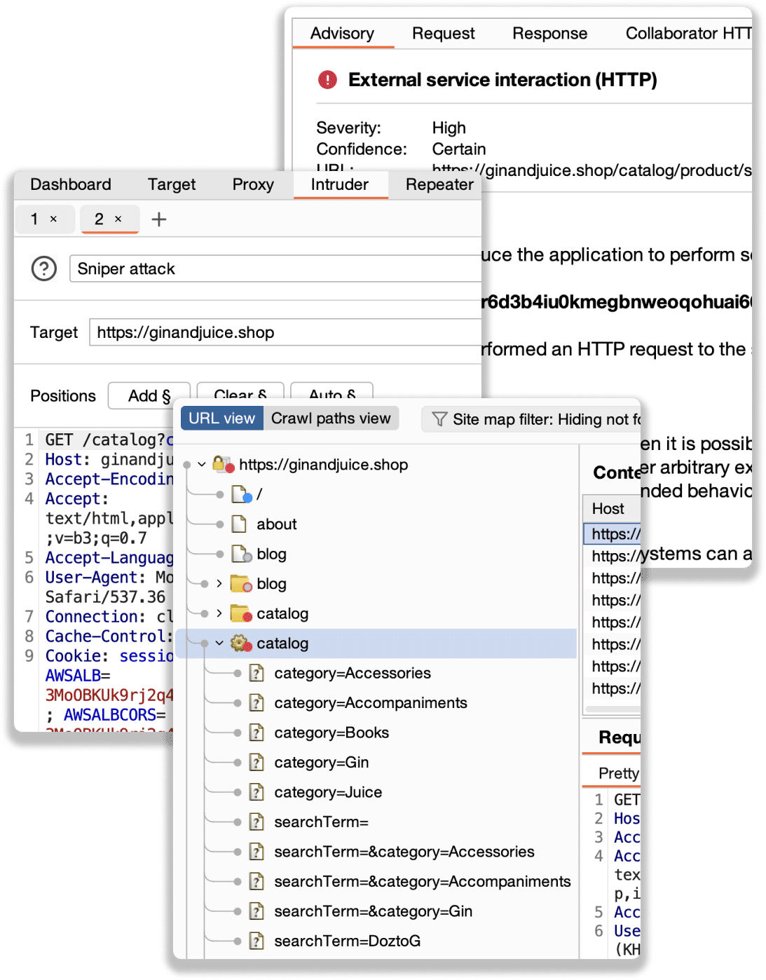 Burp Suite Tool
