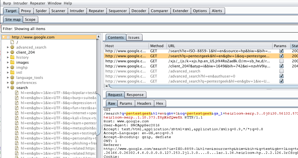 Burp Suite Community Edition